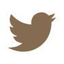 twitter twitter